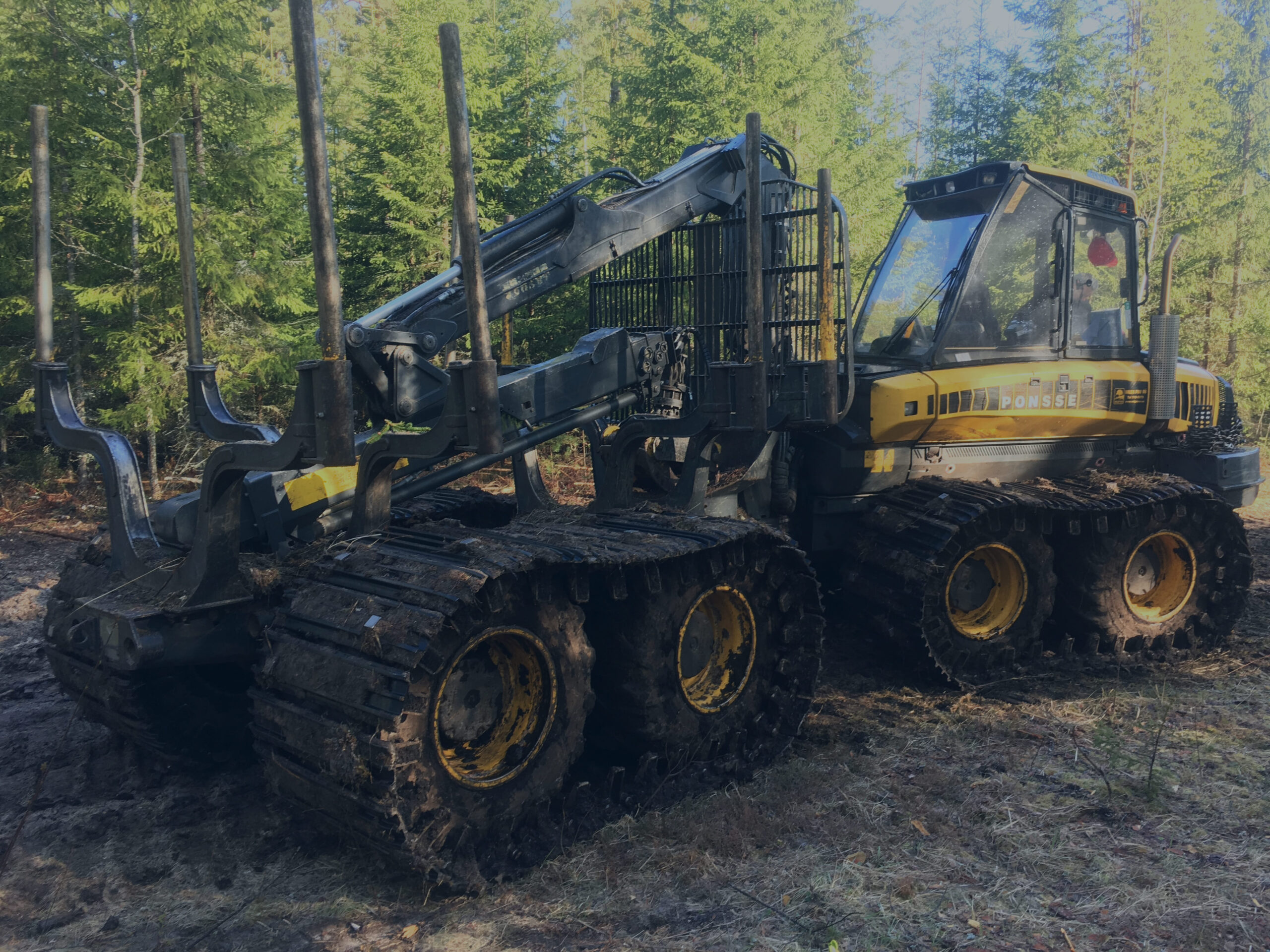 Metsamasina lintide müük ja taastamine | Restore OÜ